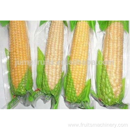 Automatic fresh corn preservation production line machine